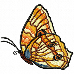 Butterfly Embroidery Design 2